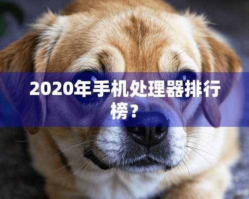 2020年手机处理器排行榜？