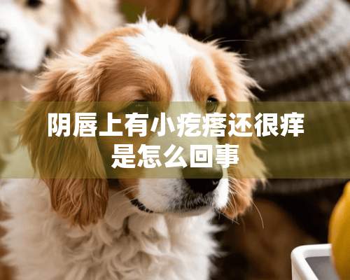 阴唇上有小疙瘩还很痒是怎么回事