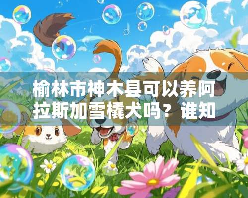 榆林市神木县可以养阿拉斯加雪橇犬吗？谁知道神木的城市养狗条例有没