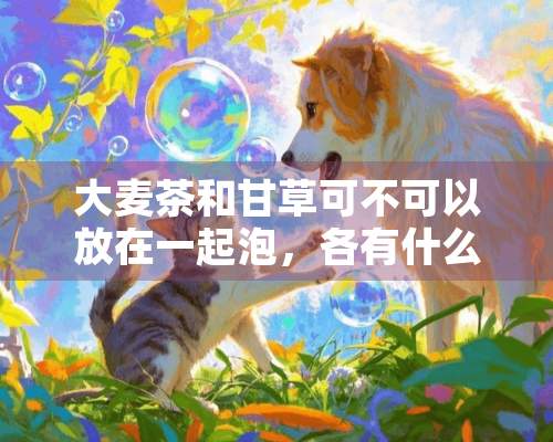 大麦茶和甘草可不可以放在一起泡，各有什么功效？