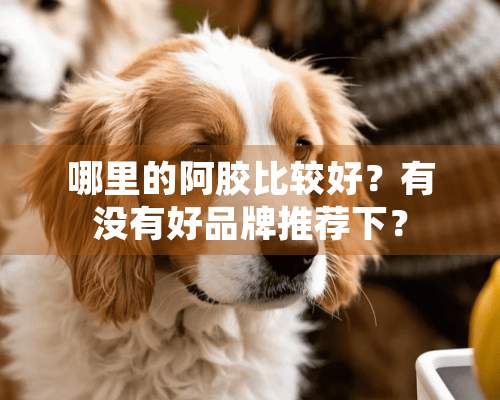 哪里的阿胶比较好？有没有好品牌推荐下？