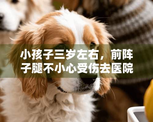 小孩子三岁左右，前阵子腿不小心受伤去医院拍片医生说骨头什么没有问题，但是她现在还是不能走路，走几