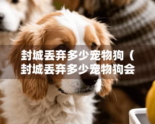 封城丢弃多少宠物狗（封城丢弃多少宠物狗会被处罚）