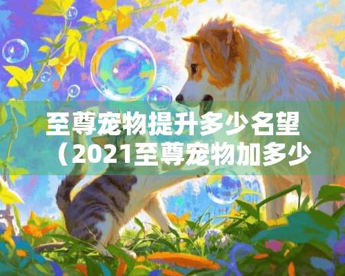 至尊宠物提升多少名望（2021至尊宠物加多少名望）