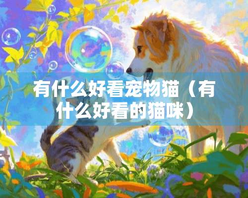 有什么好看宠物猫（有什么好看的猫咪）