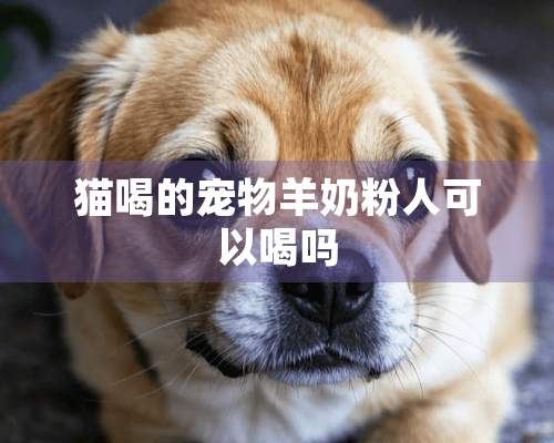 猫喝的宠物羊奶粉人可以喝吗