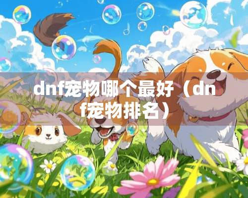 dnf宠物哪个最好（dnf宠物排名）