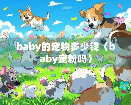 baby的宠物多少钱（baby宠粉吗）