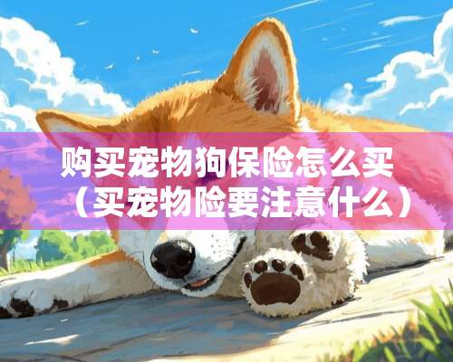 购买宠物狗保险怎么买（买宠物险要注意什么）