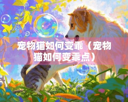 宠物猫如何变乖（宠物猫如何变乖点）