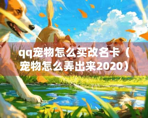 qq宠物怎么买改名卡（宠物怎么弄出来2020）