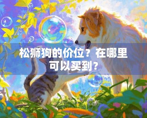 松狮狗的价位？在哪里可以买到？