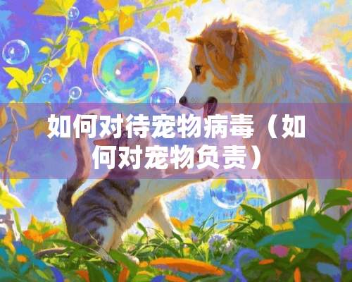 如何对待宠物**（如何对宠物负责）