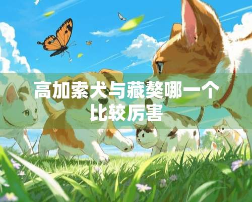 高加索犬与藏獒哪一个比较厉害