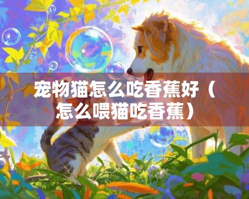 宠物猫怎么吃香蕉好（怎么喂猫吃香蕉）