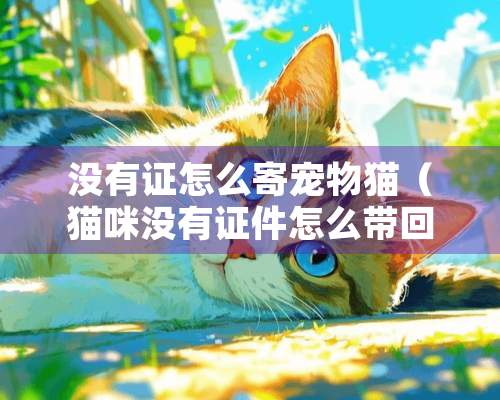 没有证怎么寄宠物猫（猫咪没有证件怎么带回家）