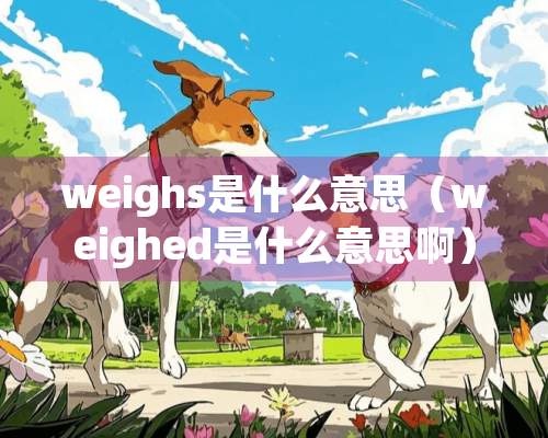 weighs是什么意思（weighed是什么意思啊）