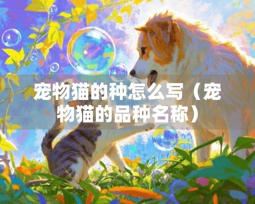 宠物猫的种怎么写（宠物猫的品种名称）