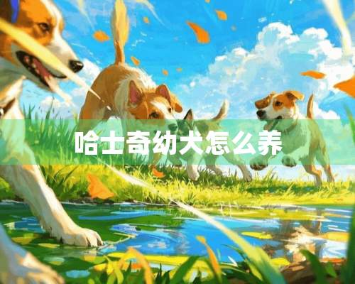 哈士奇幼犬怎么养