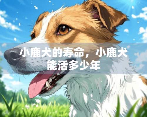 小鹿犬的寿命，小鹿犬能活多少年