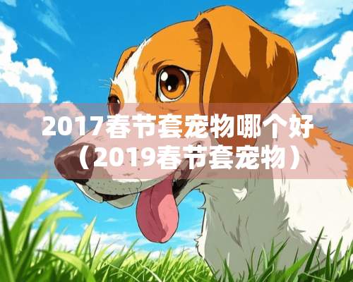 2017春节套宠物哪个好（2019春节套宠物）