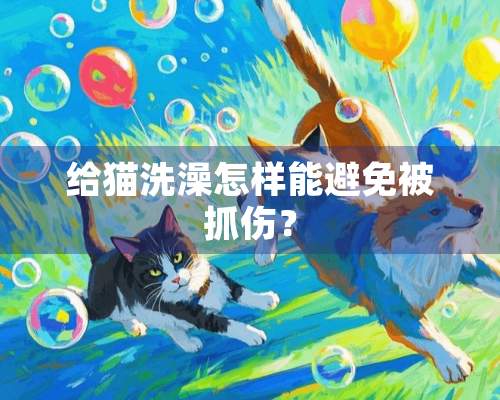 给猫洗澡怎样能避免被抓伤？