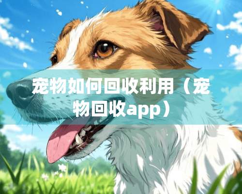 宠物如何回收利用（宠物回收app）