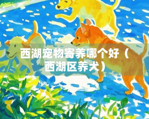 西湖宠物寄养哪个好（西湖区养犬）