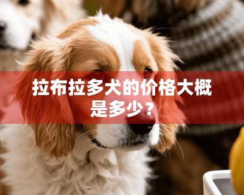 拉布拉多犬的价格大概是多少？