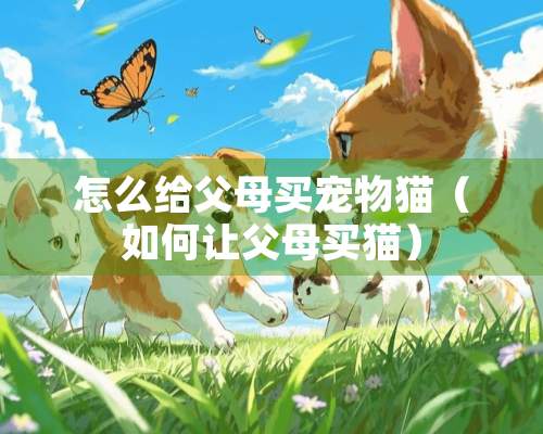 怎么给父母买宠物猫（如何让父母买猫）