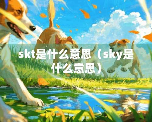 skt是什么意思（sky是什么意思）