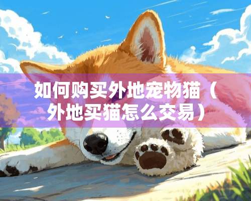 如何购买外地宠物猫（外地买猫怎么交易）