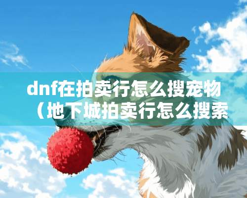 dnf在拍卖行怎么搜宠物（地下城拍卖行怎么搜索宠物）