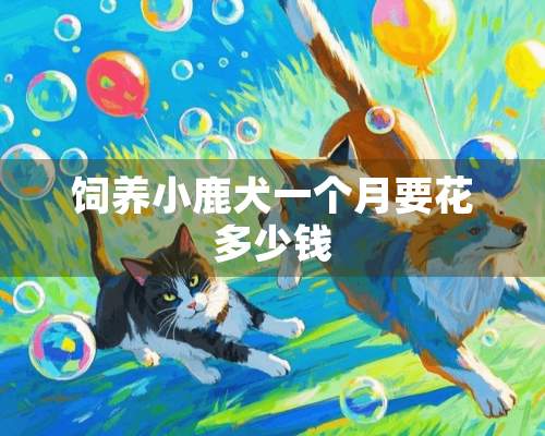 饲养小鹿犬一个月要花多少钱