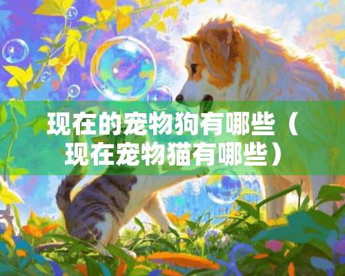 现在的宠物狗有哪些（现在宠物猫有哪些）