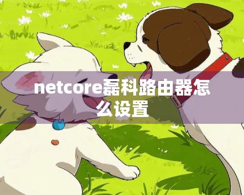 netcore磊科路由器怎么设置