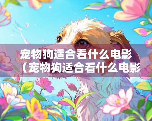 宠物狗适合看什么电影（宠物狗适合看什么电影好）