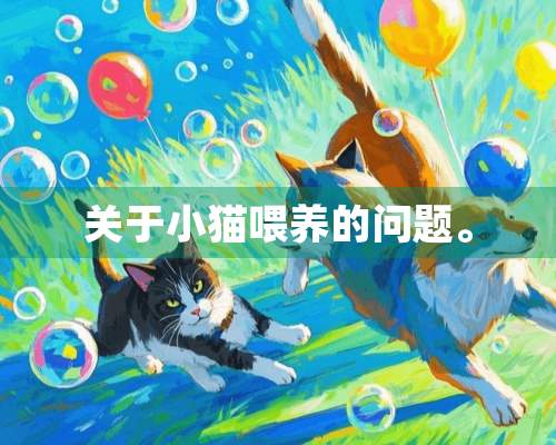 关于小猫喂养的问题。