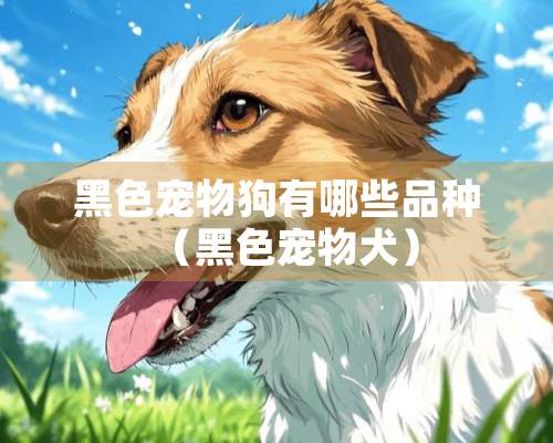 黑色宠物狗有哪些品种（黑色宠物犬）