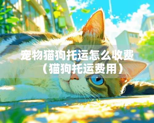 宠物猫狗托运怎么收费（猫狗托运费用）