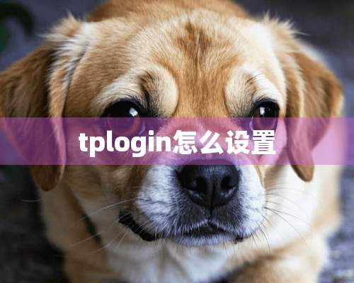 tplogin怎么设置