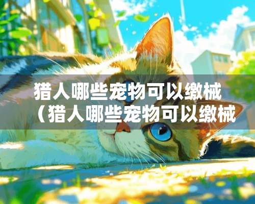 猎人哪些宠物可以缴械（猎人哪些宠物可以缴械的）