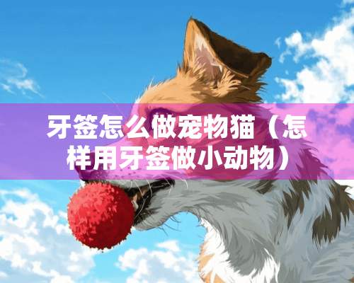 牙签怎么做宠物猫（怎样用牙签做小动物）