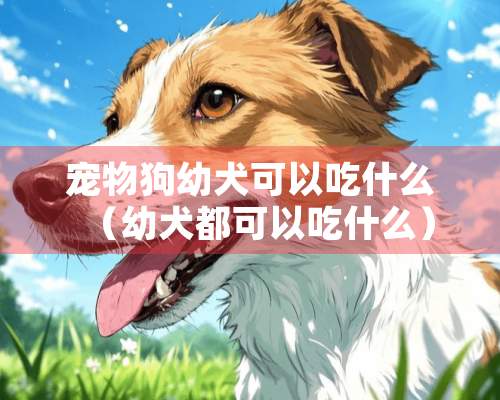 宠物狗幼犬可以吃什么（幼犬都可以吃什么）