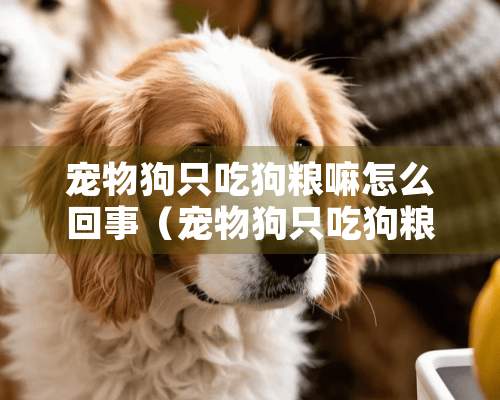 宠物狗只吃狗粮嘛怎么回事（宠物狗只吃狗粮会不会不够营养）