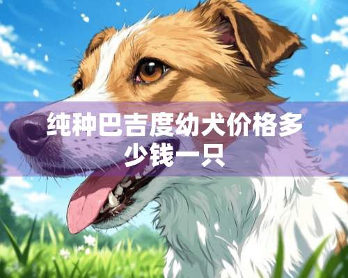 纯种巴吉度幼犬价格多少钱一只