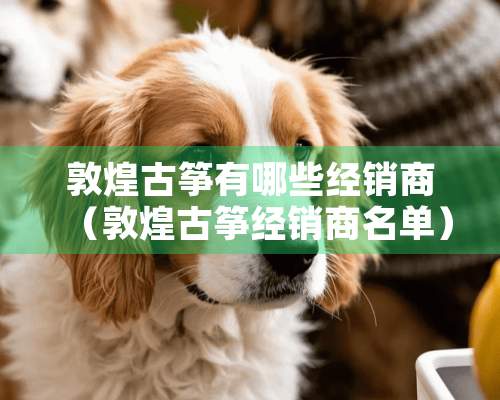 敦煌古筝有哪些经销商（敦煌古筝经销商名单）