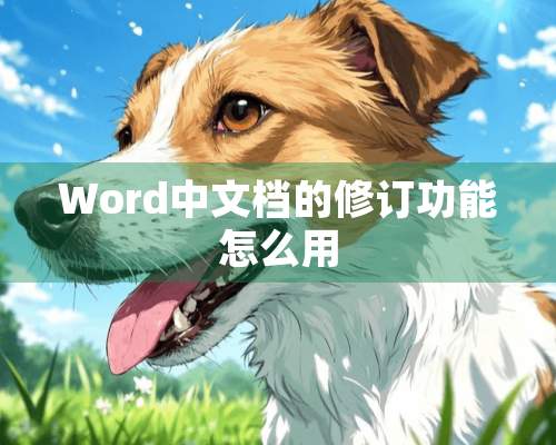 Word中文档的修订功能怎么用