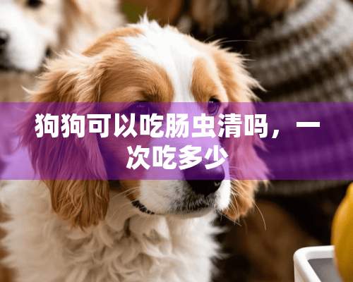 狗狗可以吃肠虫清吗，一次吃多少