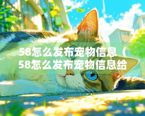 58怎么发布宠物信息（58怎么发布宠物信息给主播）